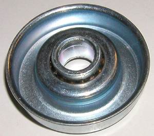 Conveyor Bearings for Rollers :: Side outside the roller